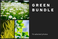 Green bundle Product Image 1
