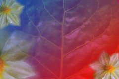 abstract floral sublimation &amp; printing Product Image 1