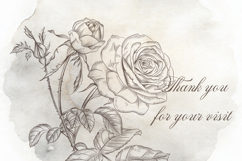 Bundle of vector vintage flourishes Product Image 19