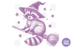 Vintage Funny Sarcastic Feral Witch Raccoon Halloween PNG Product Image 1