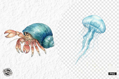 Watercolor Sea Life PNG Clipart Product Image 1