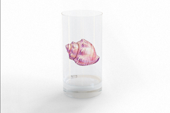Ocean Conch Shell Seashell Spiral Sea Marine PNG Summer Product Image 3