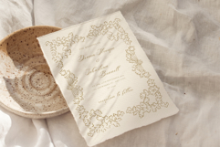 Vintage Chinoiserie Frame Collection Product Image 19