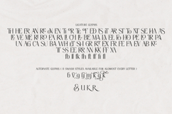 Thereon - Modern Romantic Serif Font Product Image 19