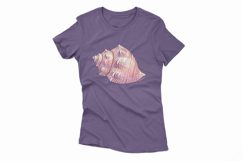 Ocean Conch Shell Seashell Spiral Sea Marine PNG Summer Product Image 4