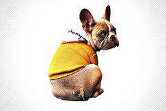 Halftone &amp; Engraved Photo Effects Product Image 3