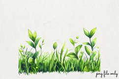 Watercolor Grass Borders Clipart PNG Product Image 1
