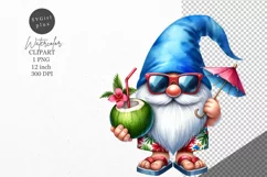 Summer clipart, Gnome clipart, Holiday clipart Product Image 1