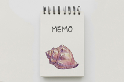 Ocean Conch Shell Seashell Spiral Sea Marine PNG Summer Product Image 5