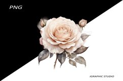 White Flowers PNG, Watercolor White Bouquet Product Image 1