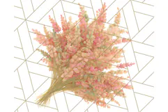 Fall Foliage Clipart PNG, Pink and Green Leaves Product Image 3