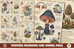 Ephemera Mushrooms Junk Journal Pages - Junk Journal Pack Product Image 1
