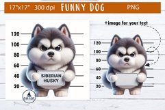 Funny dog sublimation | 3d dog png | Dog bundle Product Image 8