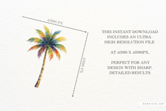 Tropical Summer Clipart Product Image 5