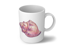 Ocean Conch Shell Seashell Spiral Sea Marine PNG Summer Product Image 6