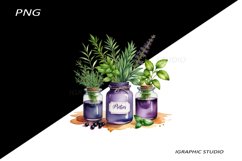 Watercolor bottle and herbs clipart Product Image 1