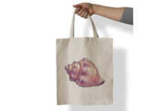 Ocean Conch Shell Seashell Spiral Sea Marine PNG Summer Product Image 7