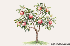 Pastel Spring Trees Clipart Bundle PNG Product Image 5
