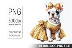 Cute French Bulldog Clipart PNG, Dog illustration Design Product Image 1