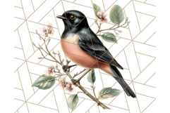 Vintage Song Bird Clipart PNG, Botanical Bird Art Clip Art Product Image 3