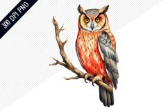 Owl Sublimation PNG Design - Owl Sublimation Product Image 1
