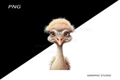 Pastel Bird Clipart, Bird Clipart, Ostrich clipart Product Image 1