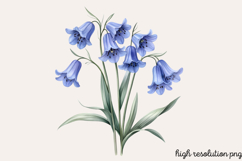 Watercolor Spring Flowers Clipart PNG Product Image 1