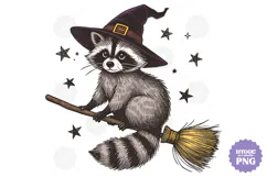 Vintage Funny Sarcastic Feral Witch Raccoon Halloween PNG Product Image 1