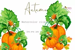 Watercolor clipart autumn.Pumpkin sublimation. PNG JPG Product Image 1