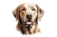 Labrador Dog Clipart | Watercolor Dog Clipart PNG Product Image 1