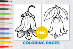 Lily of the valley Coloring Pages | Coloring book Product Image 1