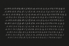 ScribeTales - Elegant Organic Script Product Image 19