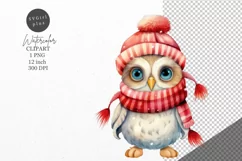 Christmas clipart, Owl clipart, Winter clipart Product Image 1