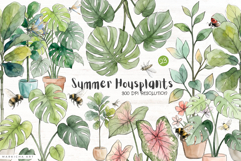 Summer Housplants Clipart Product Image 1