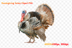 Watercolor Thanksgiving Turkey Clipart PNG Product Image 1