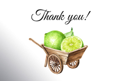 Lime citrus. Watercolor collection Product Image 20