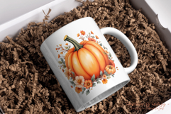 Pumpkin Clipart PNG | Fall Autumn Pumpkin Illustration Product Image 4