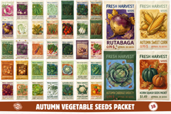 Autumn Vegetable Seeds Packet Clipart Product Image 1