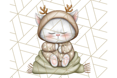 Christmas Pets in Pajamas Clipart PNG, Christmas Png Clipart Product Image 3