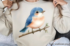 Charming Fairy Woodland Animals Clipart PNG Product Image 1