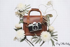 Antique Winter Photography Clipart PNG Product Image 1