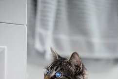 Photoshop Brush Lens flares Bundle Product Image 19