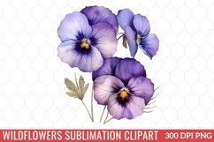 Wildflowers Sublimation Clipart Product Image 1