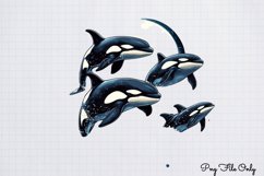 Whales Clipart design PNG Product Image 1