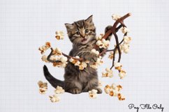 Christmas Cats Clipart PNG Product Image 1