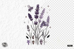 Summer Lavender Meadow Clipart Product Image 1
