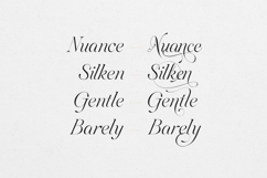 Sweetform - Serif &amp; Sans Font Duo Product Image 19
