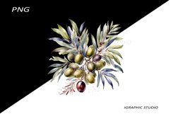Greece summer clipart, Mediterranean Food Clipart, Olive Product Image 1