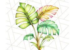 Bright Summer Clipart, Beach &amp; Vacation PNG, Tropical Png Product Image 3