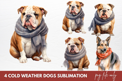Christmas Cold Weather Dogs Sublimation Clipart Product Image 1